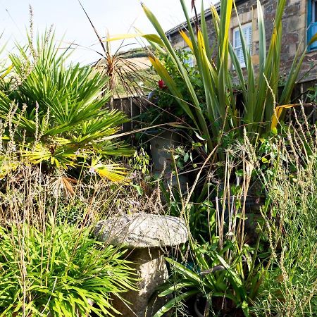 The Moonbeach Cabin Gorran Haven Extérieur photo